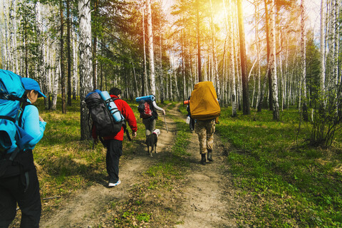 Kaukasische Freunde mit Hund auf einem Waldweg, lizenzfreies Stockfoto