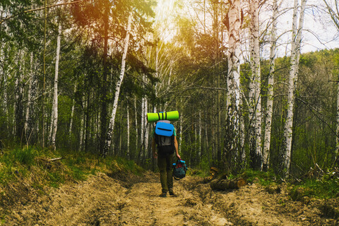 Kaukasischer Mann beim Rucksacktourismus im Wald, lizenzfreies Stockfoto