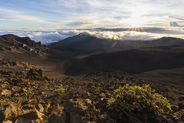 Krater des Vulkans Haleakala, Haleakala-Nationalpark, Hawaii, USA - FOF10774