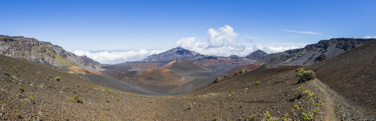 Vulkan Haleakala, Krater Kalu'uoka'o'o, Puu o Maui, Kamohoalii und Kalu'uoka'o'o, Maui, Hawaii, USA - FOF10776