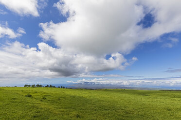 Blick entlang des Haleakala Highway, Haleakala National Park, Maui, Hawaii, USA - FOF10792