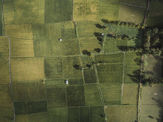 Indonesia, West Sumbawa, Maluk, Aerial view of fields - KNTF02787