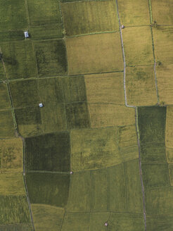 Indonesien, West Sumbawa, Maluk, Luftaufnahme von Feldern - KNTF02788
