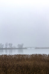 Mouth of the Rhine and Lake Constance, Austria - PUF01492