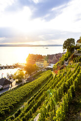 Meersburg im Gegenlicht, Bodensee, Deutschland - PUF01499