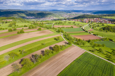 Luftaufnahme von Feldern, Schwäbischer Wald, Rems-Murr-Kreis, Deutschland - STSF01985