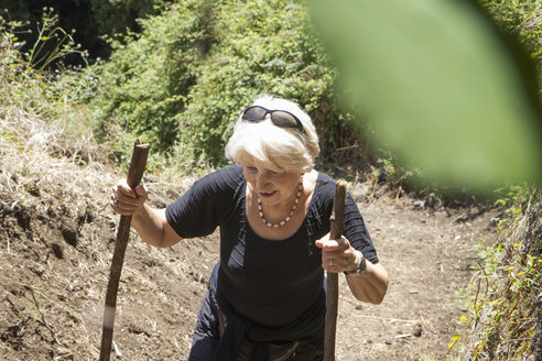 Ältere Frau beim Wandern durch den Wald im Garajonay-Nationalpark, La Gomera, Kanarische Inseln, Spanien - MAMF00676