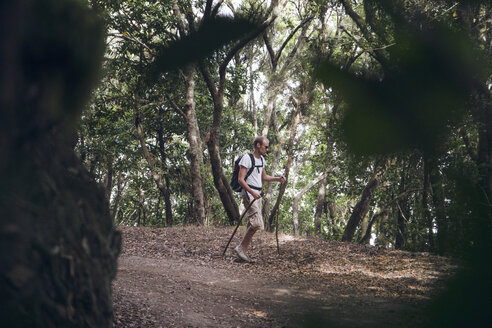 Junger Mann wandert durch den Wald im Garajonay-Nationalpark, La Gomera, Kanarische Inseln, Spanien - MAMF00679