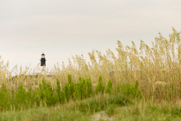 Distant lighthouse, Tybee, Georgia, United States - BLEF04506