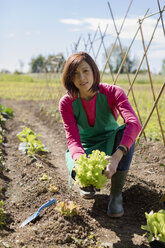 Woman working in her vegetable garden, Italy - MAUF02461