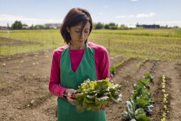 Frau arbeitet in ihrem Gemüsegarten, Italien - MAUF02474