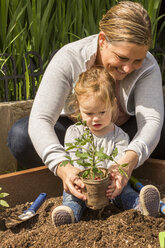 Kaukasische Mutter und Tochter pflanzen Setzlinge im Garten - BLEF04698