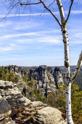 Blick auf das Elbsandsteingebirge mit Birke im Vordergrund, Sachsen, Deutschland - PUF01506