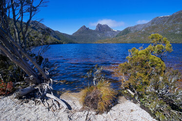 Dove Lake und Cradle Mountain, Tasmanien, Australien - RUNF02148