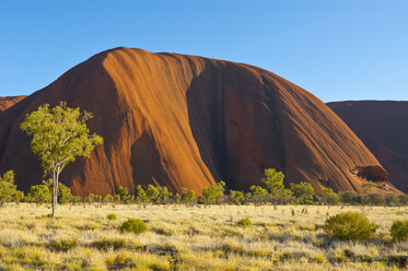 Uluru, Ayers Rock, Nordterritorium, Australien - RUNF02159