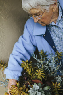 Ältere gemischtrassige Frau kümmert sich um Topfpflanzen - BLEF05637