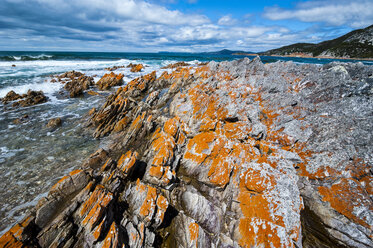 Rocky Cape National Park, Tasmanien, Australien - RUNF02198