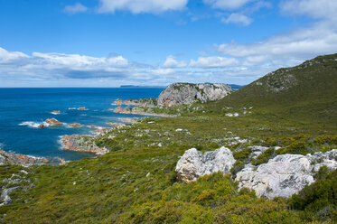 Rocky Cape National Park, Tasmanien, Australien - RUNF02199