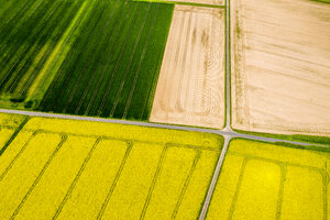 Luftaufnahme von Raps- und Maisfeldern bei Usingen, Hessen, Deutschland - AMF07052