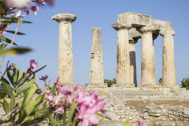 Archaischer Apollo-Tempel, Dorische Säulen, Korinth, Griechenland - MAMF00698