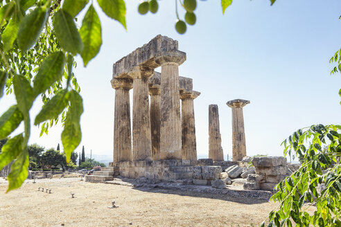 Archaischer Apollo-Tempel, Dorische Säulen, Korinth, Griechenland - MAMF00700