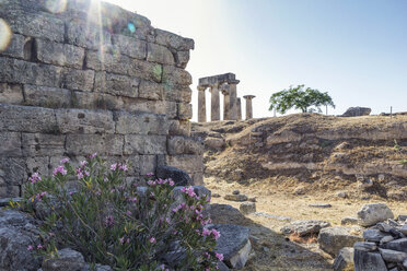 Archäologische Stätte mit archaischem Apollo-Tempel, dorische Säulen, Korinth, Griechenland - MAMF00703
