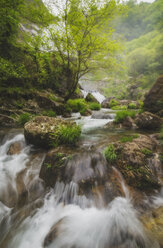 Fluss Belelle, Neda, Galicien, Spanien - RAEF02269