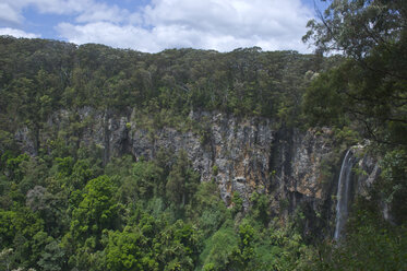 Wasserfall im Springbrook-Nationalpark, Neusüdwales, Neusüdwales, Australien - RUNF02207