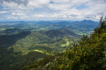 Overlook at the Springbrook National Park, New South Wales, Australia - RUNF02208