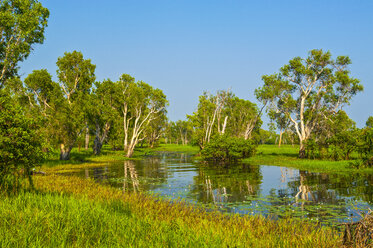 Fluss im Kakadu-Nationalpark, Nordterritorium, Australien - RUNF02221