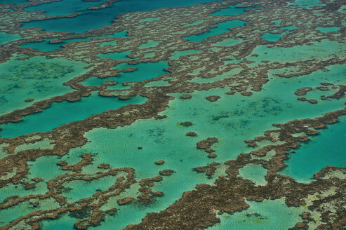 Luftaufnahme des Great Barrier Reef, Queensland, Australien - RUNF02249