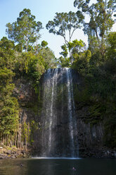 Millaa Millaa Falls, Atherton Tablelands, Queensland, Australien - RUNF02274