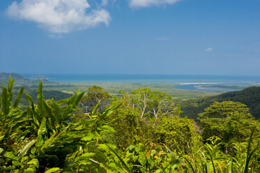 Cape Tribulation, Queensland, Australia - RUNF02282