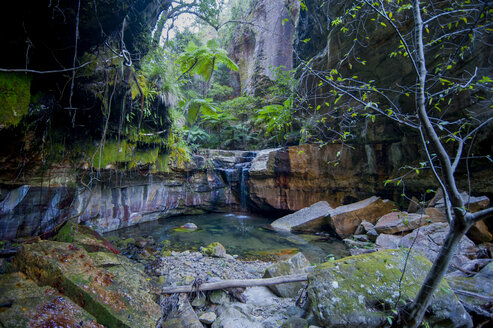 Kleiner Teich in einer Felsspalte, Carnavaron-Schlucht, Queensland, Australien - RUNF02283
