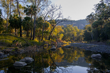 Fluss, der durch die Carnavaron-Schlucht fließt, Queensland, Australien - RUNF02284