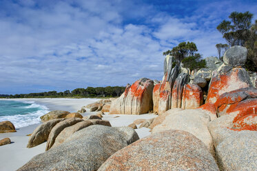 Bay of Fires, Tasmanien, Australien - RUNF02291