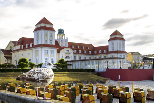 Blick auf Seebad mit Möwe im Vordergrund, Binz, Rügen, Deutschland - PUF01523