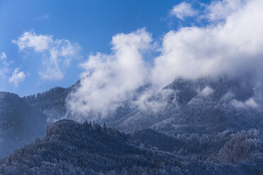 Alps in winter, Eschenlohe, Upper Bavaria, Germany - TCF06088