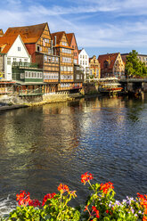 Fachwerk- und Giebelhäuser an der Ilmenau, Lüneburg, Deutschland - PUF01565