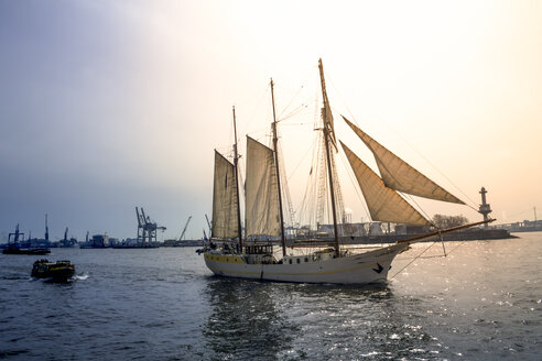 Segelschiff im Hamburger Hafen, Hamburg, Deutschland - PUF01571