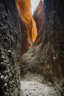 Bungle-Bungles-Nationalpark, Westaustralien, Australien - RUNF02293