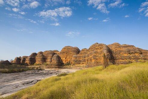 Bungle-Bungles-Nationalpark, Westaustralien, Australien - RUNF02300