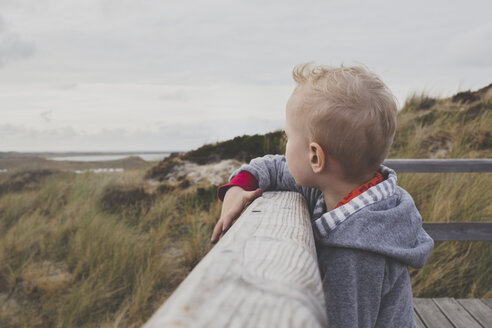 Blonder kleiner Junge schaut auf die Dünen, Sylt, Deutschland - IHF00054