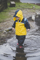 Kleiner Junge im Regenanzug erkundet eine Pfütze, Sylt, Deutschland - IHF00065