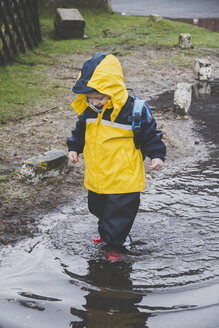 Little boy in a rainsuit exploring a puddle, Sylt, Germany - IHF00065