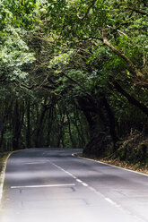 Straße im Wald, Teneriffa, Spanien - CHPF00533