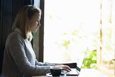 Young woman using laptop in a coffee shop - FBAF00637