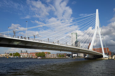 Erasmusbrug, Rotterdam, Niederlande - LHF00642