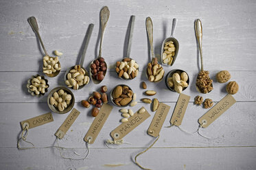 Erdnüsse, Haselnüsse, Cashewnüsse, Paranüsse, Pistazien und Mandeln - ASF06437