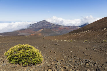 Krater Kama'oli'i, Pu'uom'ui, Pu'uopele und Kamohoalii, Sliding Sands Trail, Haleakala-Vulkan, Haleakala-Nationalpark, Maui, Hawaii, USA - FOF10794